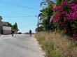 SANY7848