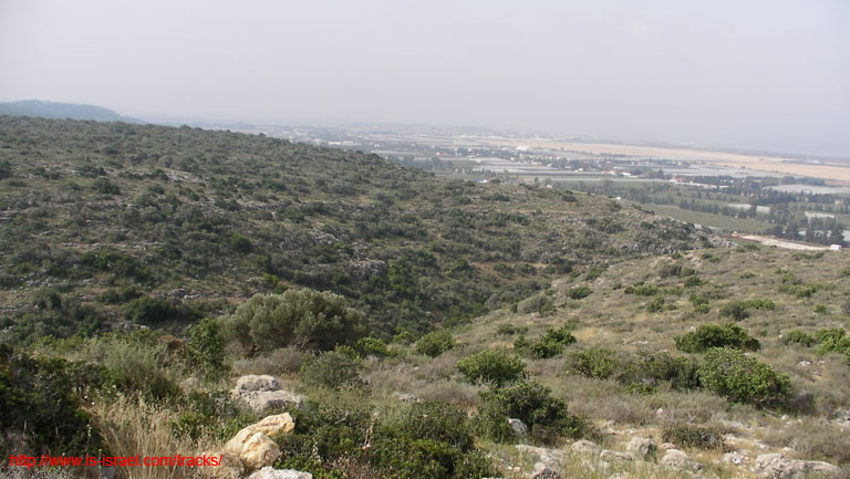 SANY9063