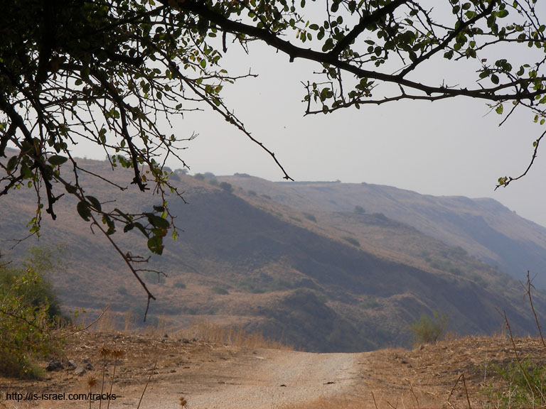SANY0383