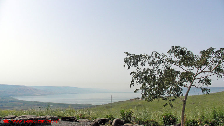 SANY8514