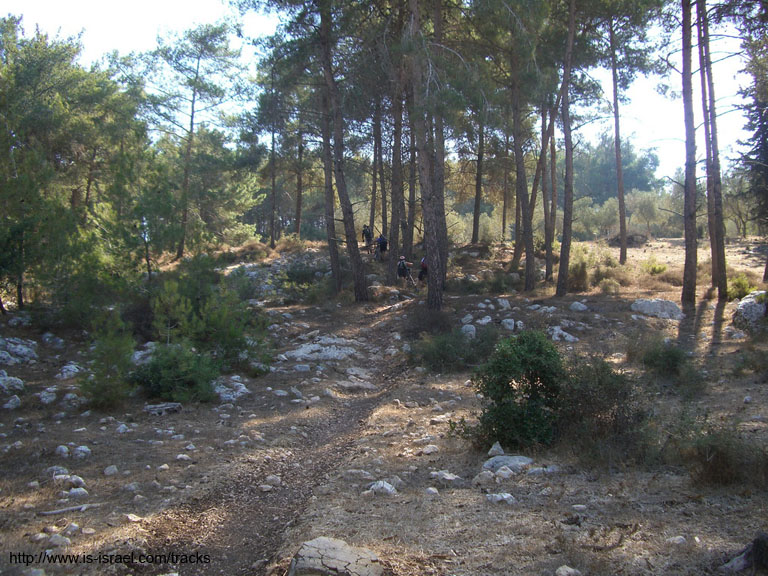 CIMG4730