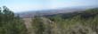 panorama1