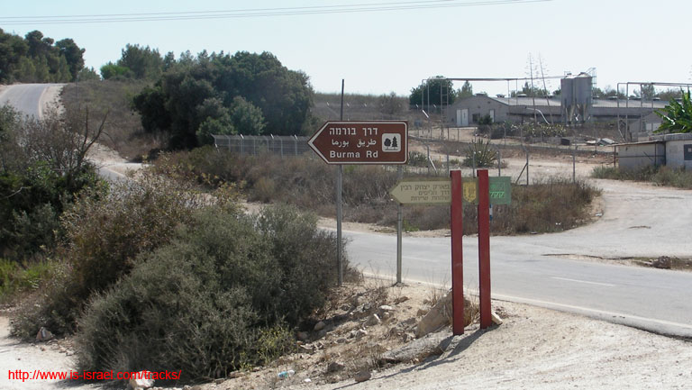 SANY4949