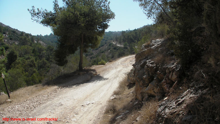 SANY4957
