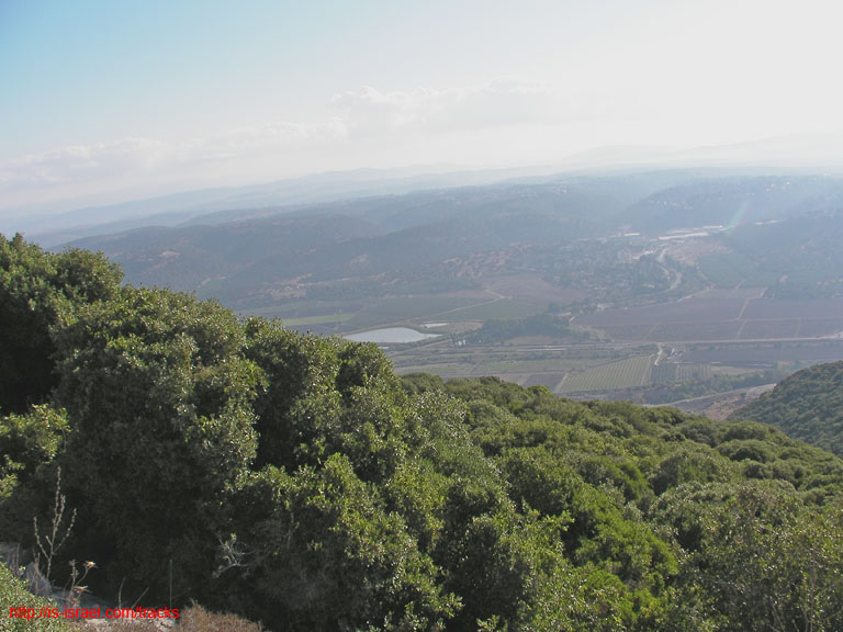 SANY0118