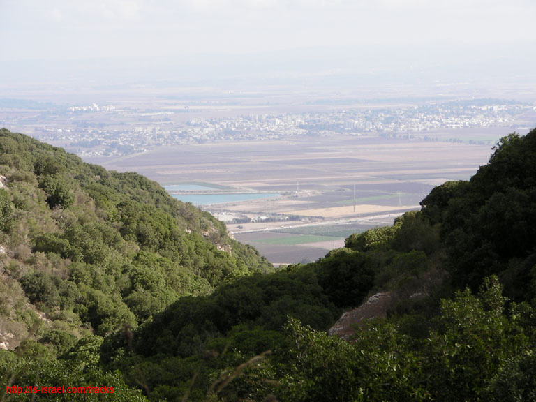 SANY0154