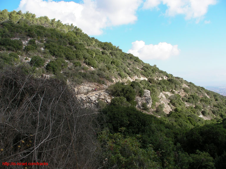 SANY0157