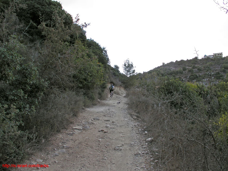 SANY0181