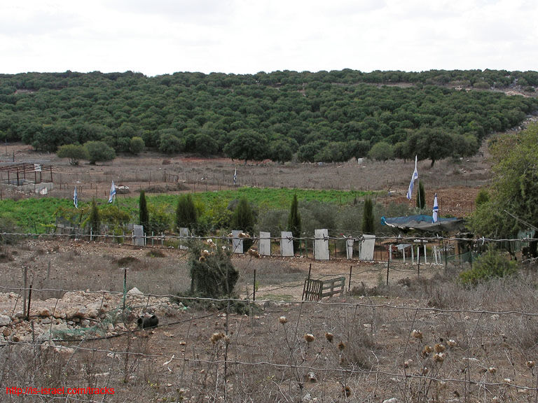 SANY0199