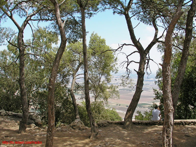 SANY0269