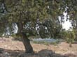 SANY0237