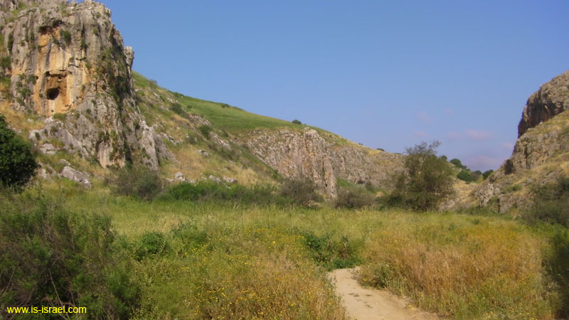 SANY0381