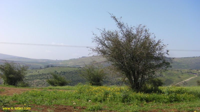 SANY0423