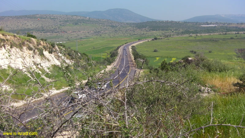 SANY0433