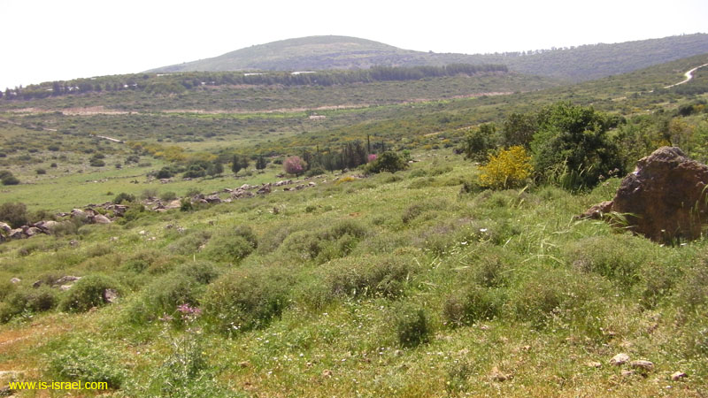 SANY0483