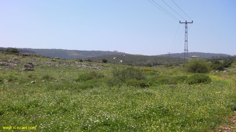 SANY0486