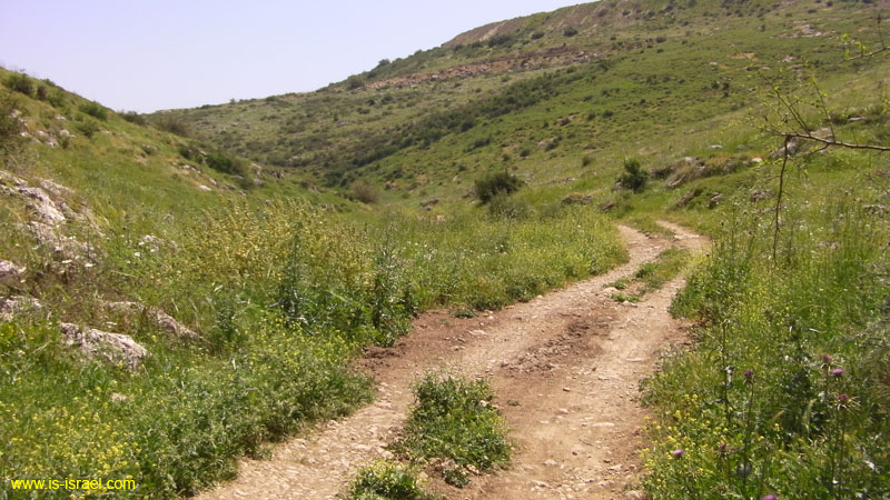 SANY0507
