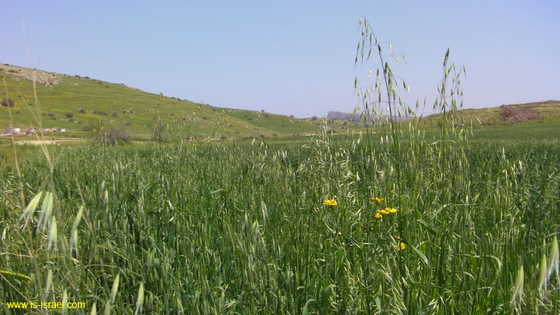 SANY0511