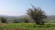 SANY0423
