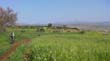 SANY0430