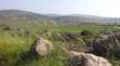 SANY0432