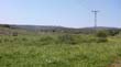 SANY0486