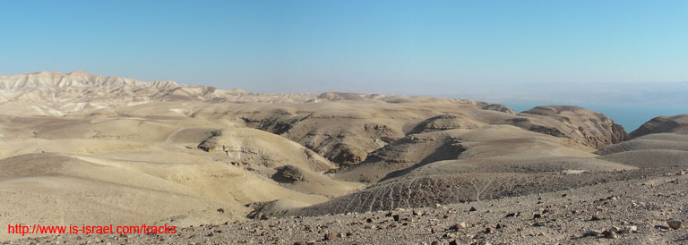 panorama1