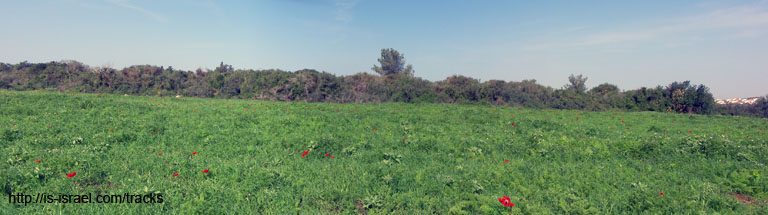 panorama2