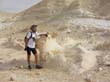 Перейти в этот фотоальбом