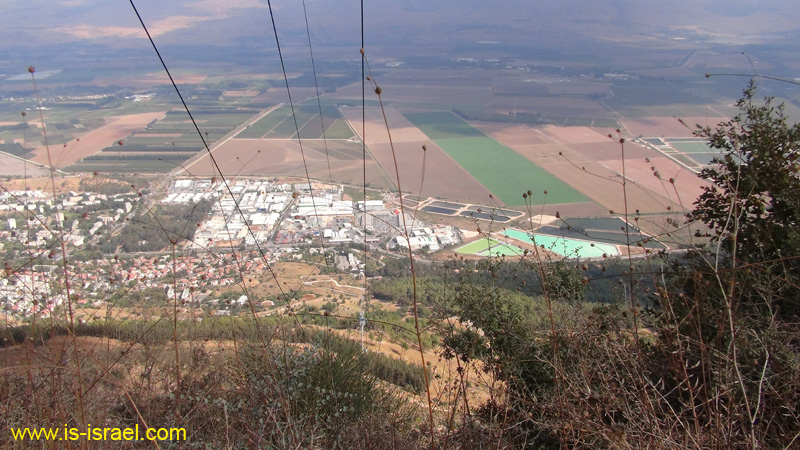 DSC05471