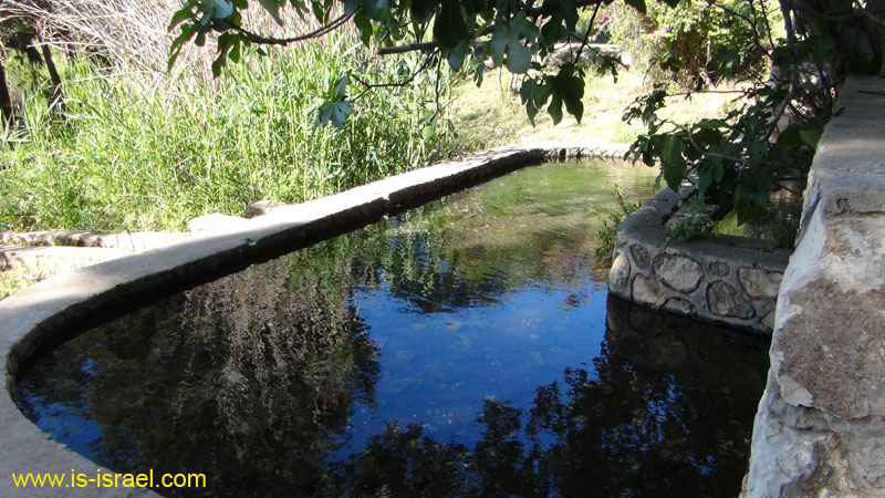 DSC00989