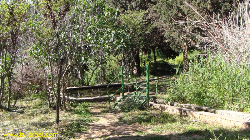 DSC00990
