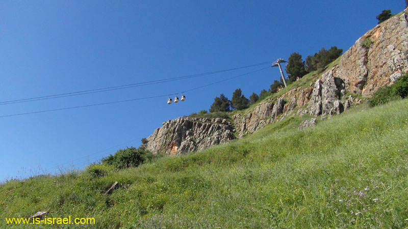DSC01019