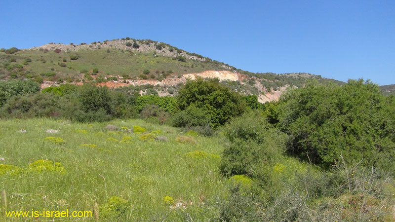 DSC01065