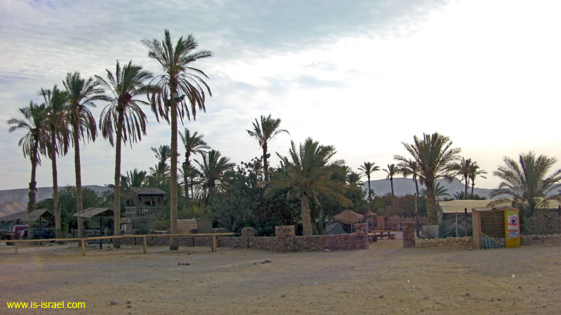 SANY0610