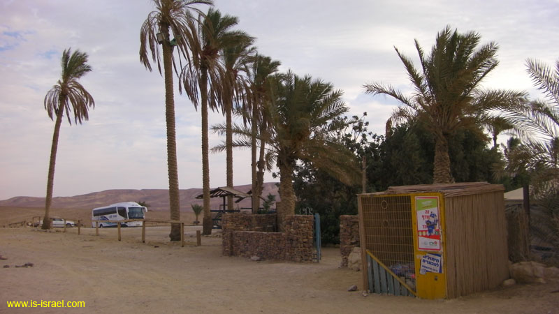SANY0616