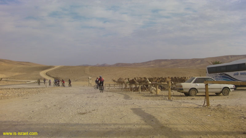 SANY0632
