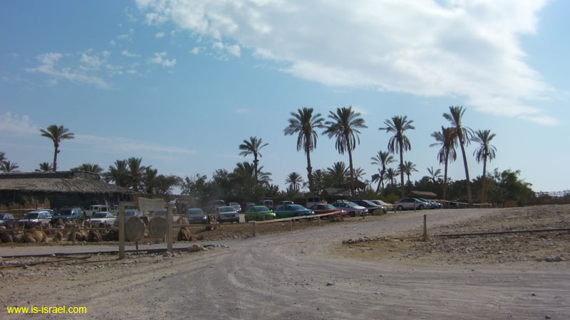 SANY0759
