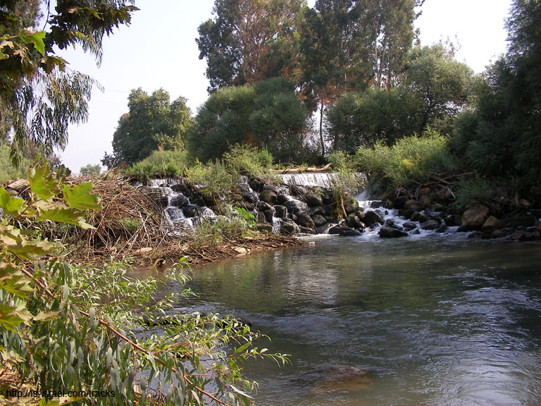 SANY0508