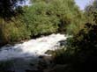 SANY0542