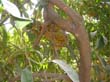 SANY0548