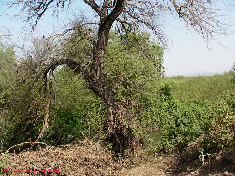 SANY6258
