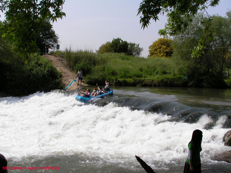 SANY6405