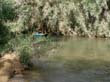 SANY6395