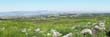 panorama1-1
