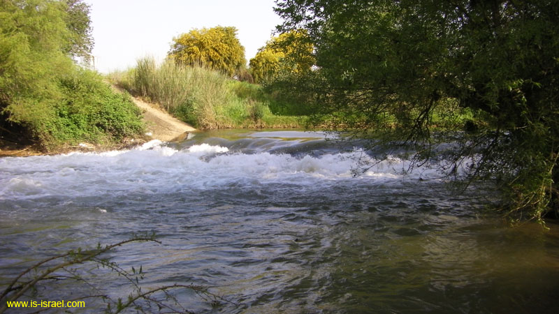 SANY0256