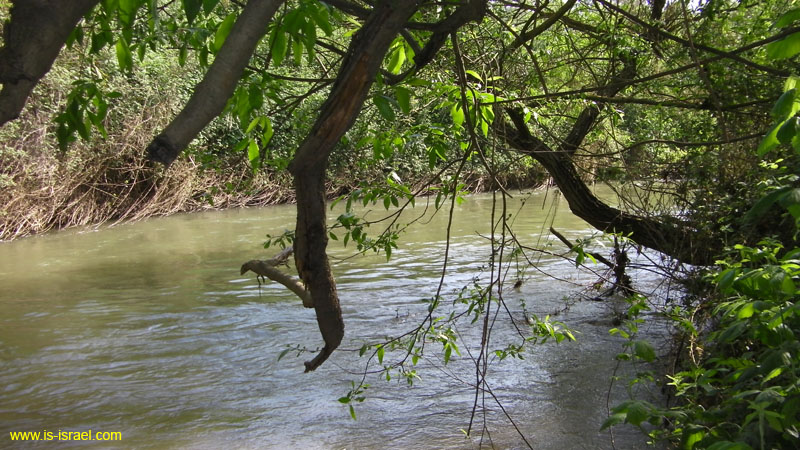 SANY0300