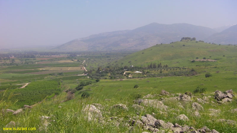 SANY0303