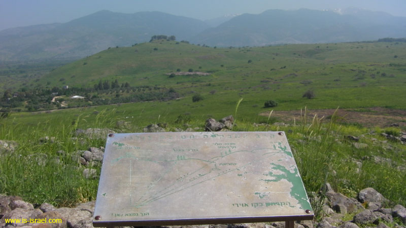 SANY0305