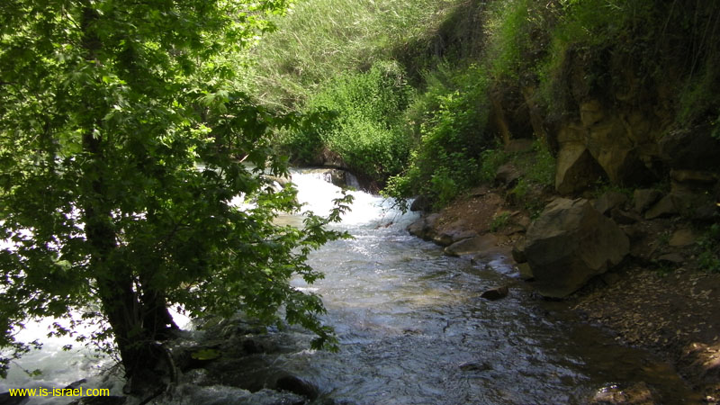SANY0318